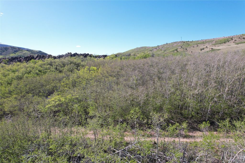 NHN Alpha Lode & Alpha Fraction Lode, Alpha Trail, Anaconda, MT 59711 photo 48