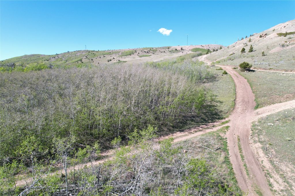 NHN Alpha Lode & Alpha Fraction Lode, Alpha Trail, Anaconda, MT 59711 photo 49