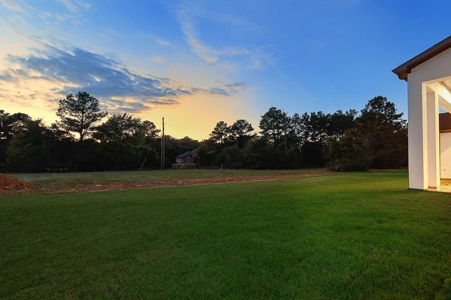 24975 Hopeview Way, Montgomery, TX 77356