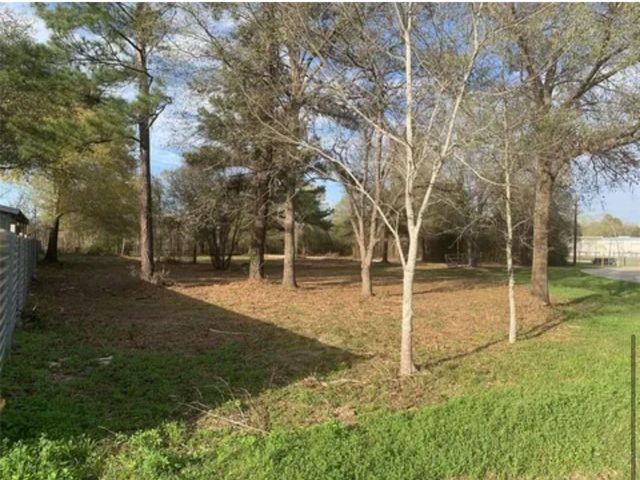 14410 Mary Jane Lane, Tomball, TX 77377