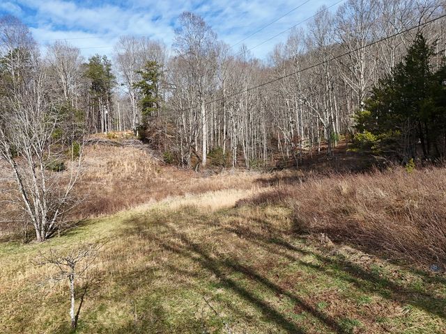Lot 2 Jordan Road, Blairsville, GA 30512