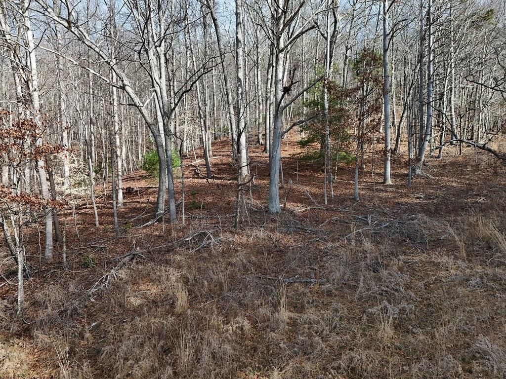 Lot 2 Jordan Road, Blairsville, GA 30512