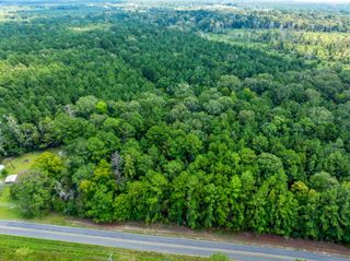 TBD Savage Forks Rd, Leesville, LA 71446