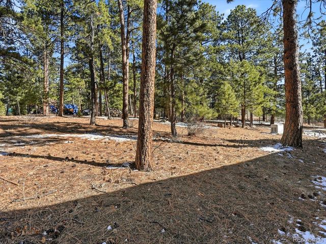 8220 Iowa Gulch Road, Morrison, CO 80465