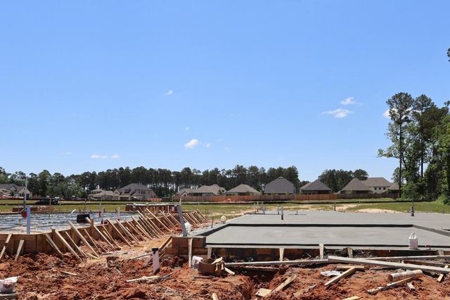 320 Twilight Haze Court, Willis, TX 77318