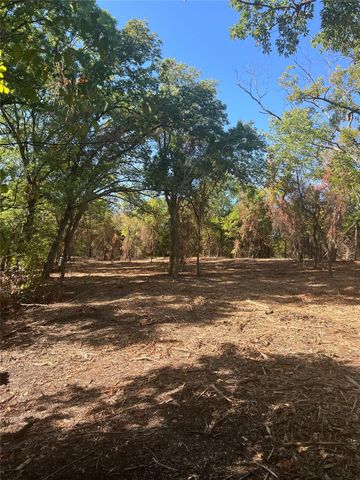 TBD1 Rochelle Cannon Road, Whitewright, TX 75491