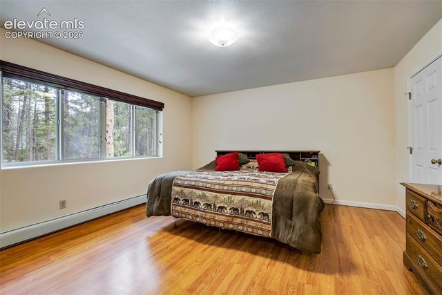 167 E Kelleys Road, Woodland Park, CO 80863