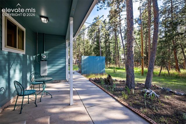 167 E Kelleys Road, Woodland Park, CO 80863