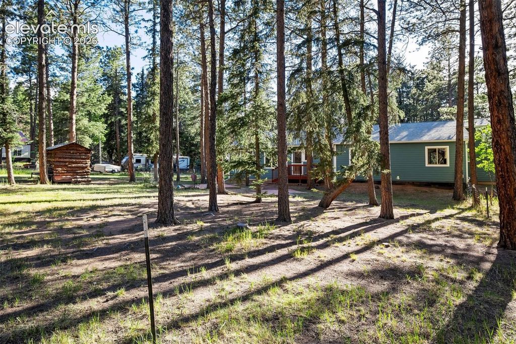 167 E Kelleys Road, Woodland Park, CO 80863 — photo 4