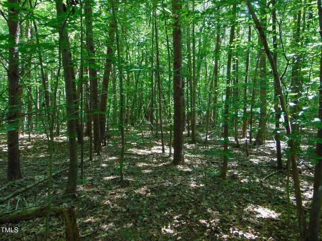 Lot 2 Hesters Store Rd., Roxboro, NC 27574