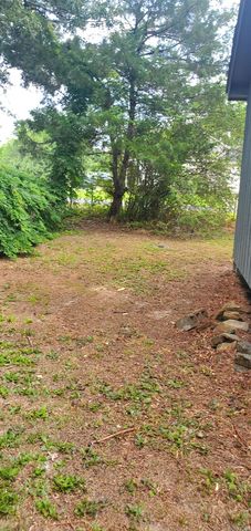 203 Altman Drive, Mountain View, AR 72560