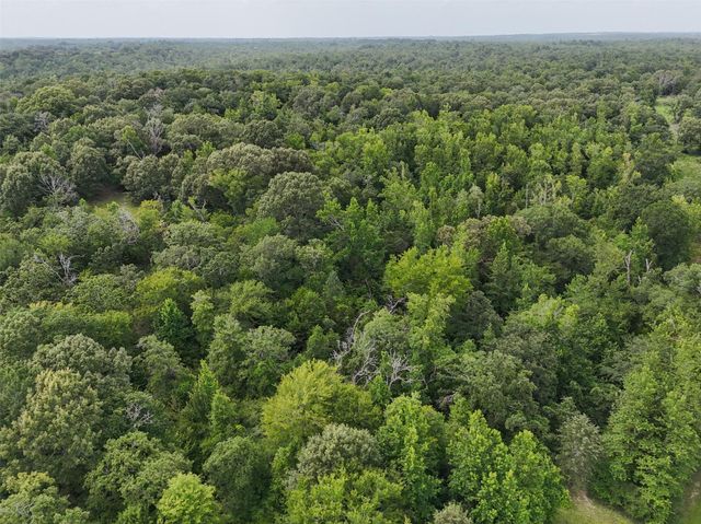 225 Private Road 2026, Centerville, TX 75831