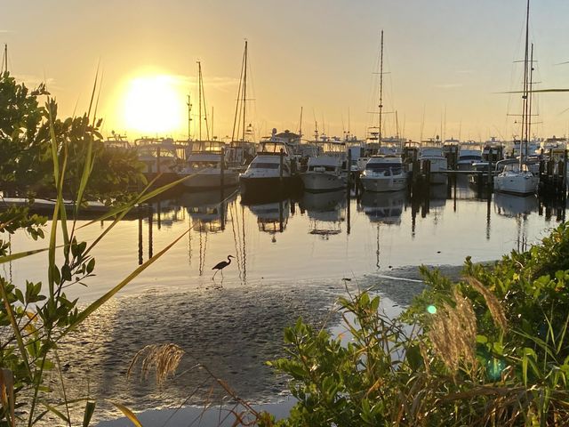 215 NW Flagler 202, Stuart, FL 34994