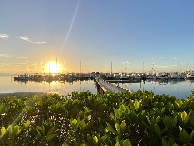 215 NW Flagler 202, Stuart, FL 34994