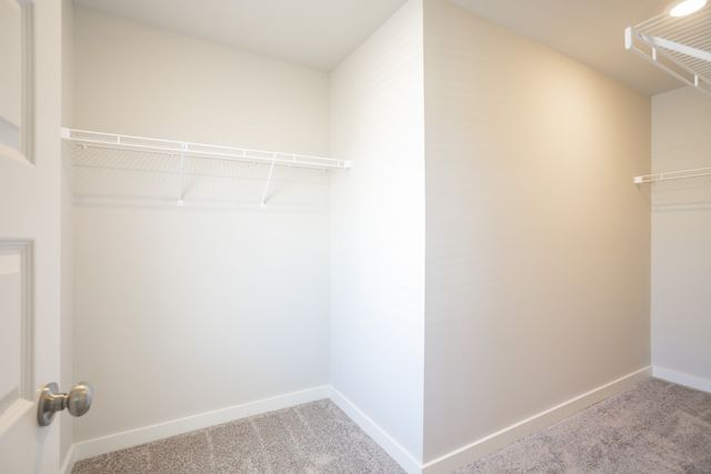 4509 Sardius Dr, Murfreesboro, TN 37128