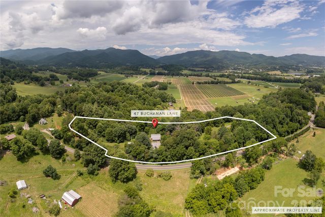 47 Buchanan Lane, Canton, NC 28716