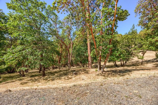 807 Timber Ridge Drive 15, Jacksonville, OR 97530