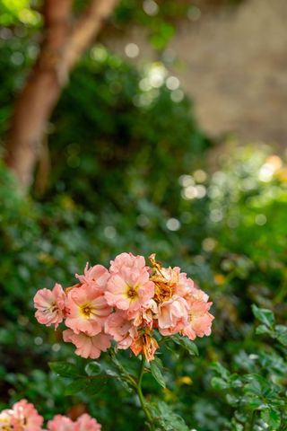 2 Bedons Alley, Charleston, SC 29401