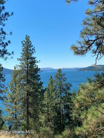 0000NKA E Driftwood Heights Dr, Harrison, ID 83833