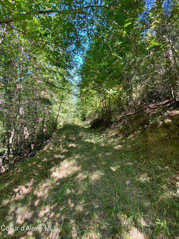 0000NKA E Driftwood Heights Dr, Harrison, ID 83833