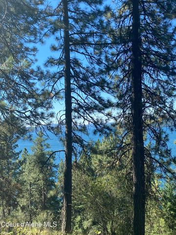 0000NKA E Driftwood Heights Dr, Harrison, ID 83833