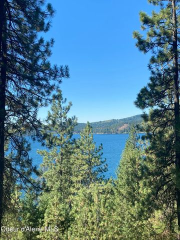 0000NKA E Driftwood Heights Dr, Harrison, ID 83833