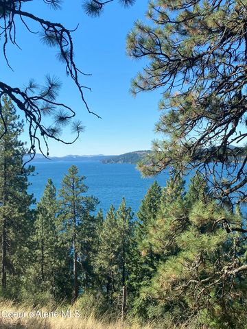 0000NKA E Driftwood Heights Dr, Harrison, ID 83833