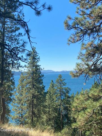 0000NKA E Driftwood Heights Dr, Harrison, ID 83833