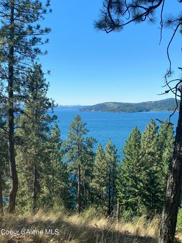 0000NKA E Driftwood Heights Dr, Harrison, ID 83833