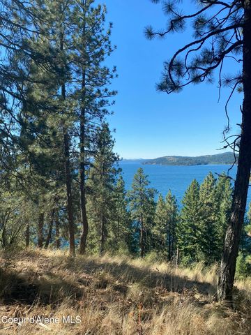 0000NKA E Driftwood Heights Dr, Harrison, ID 83833