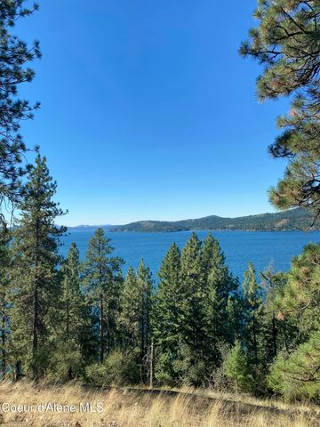 0000NKA E Driftwood Heights Dr, Harrison, ID 83833