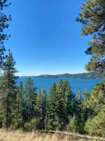 0000NKA E Driftwood Heights Dr, Harrison, ID 83833