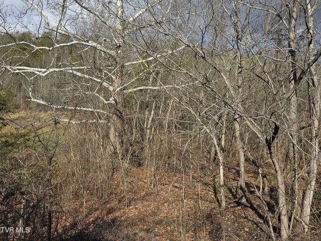 4108 Ridge Road, Kingsport, TN 37660