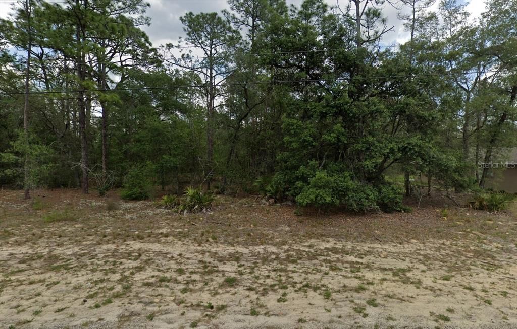 6299 N ALLSTON TERRACE, Citrus Springs, FL 34433