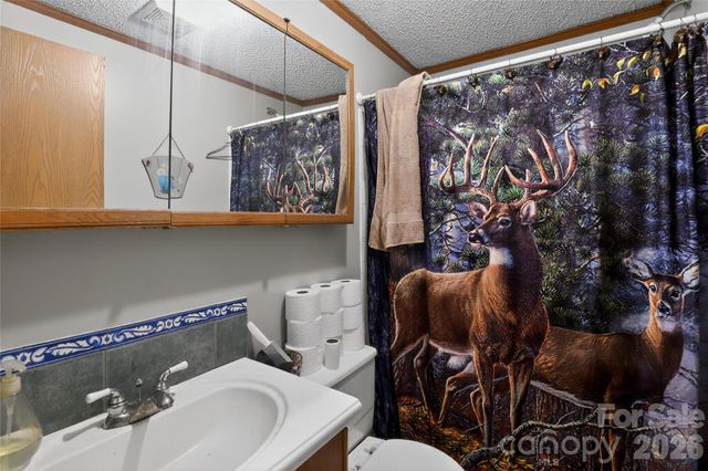 284 Paul Gosnell Road, Marshall, NC 28753