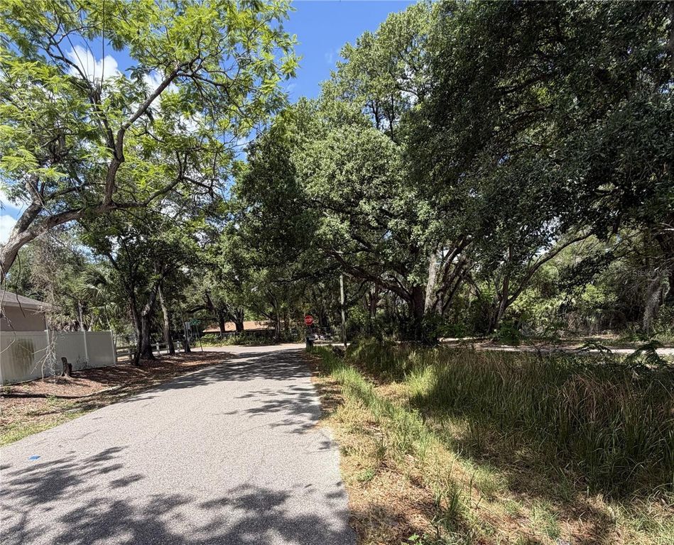 Image 4 of property listing at 6806 (Lot 45830C) NEW YORK DRIVE, Tampa, FL 33619