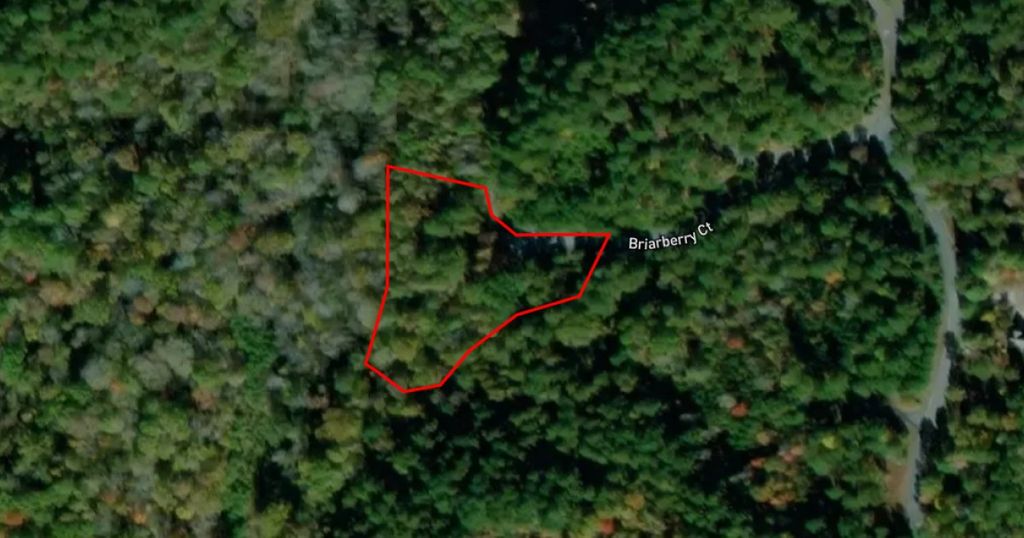 86 Briarberry Court, Salem, SC 29676