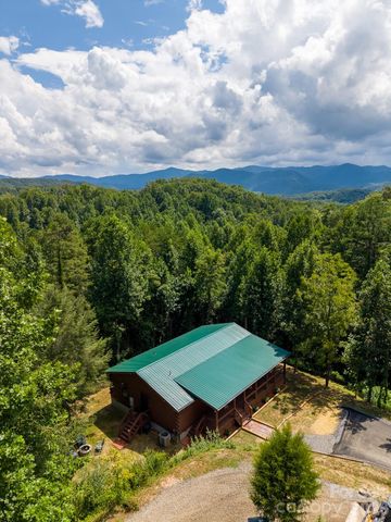 677 Ridgetop Circle, Whittier, NC 28789