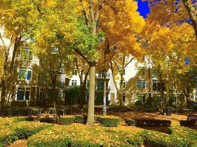 7 Cameron 408, Cambridge, MA 02140