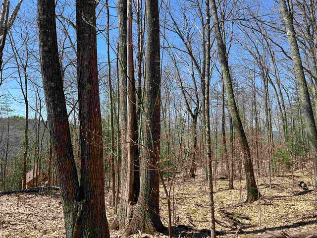 H16 Tobey Road, Campton, NH 03223