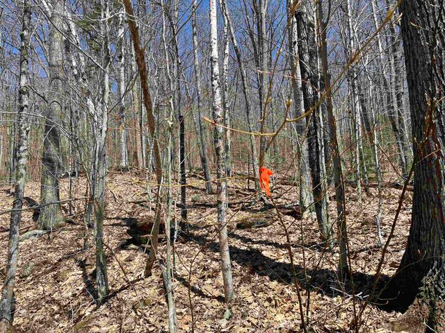 H16 Tobey Road, Campton, NH 03223