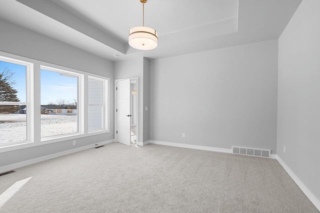 4450 NATURE, Howard, WI 54313