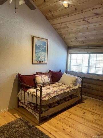 550 Cedar Drive, Leadville, CO 80461