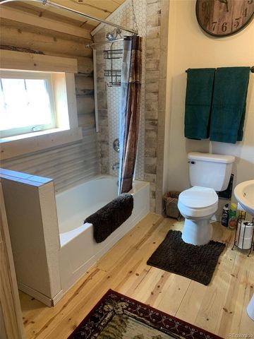 550 Cedar Drive, Leadville, CO 80461