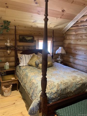 550 Cedar Drive, Leadville, CO 80461