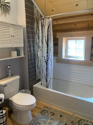 550 Cedar Drive, Leadville, CO 80461