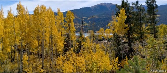 550 Cedar Drive, Leadville, CO 80461