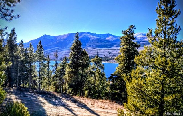 550 Cedar Drive, Leadville, CO 80461