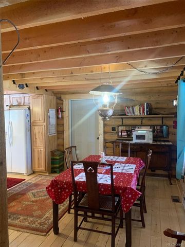 550 Cedar Drive, Leadville, CO 80461