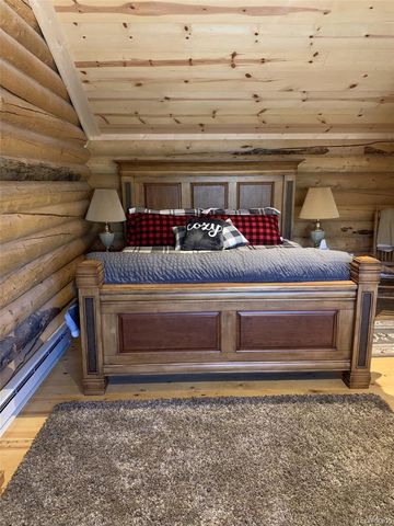 550 Cedar Drive, Leadville, CO 80461